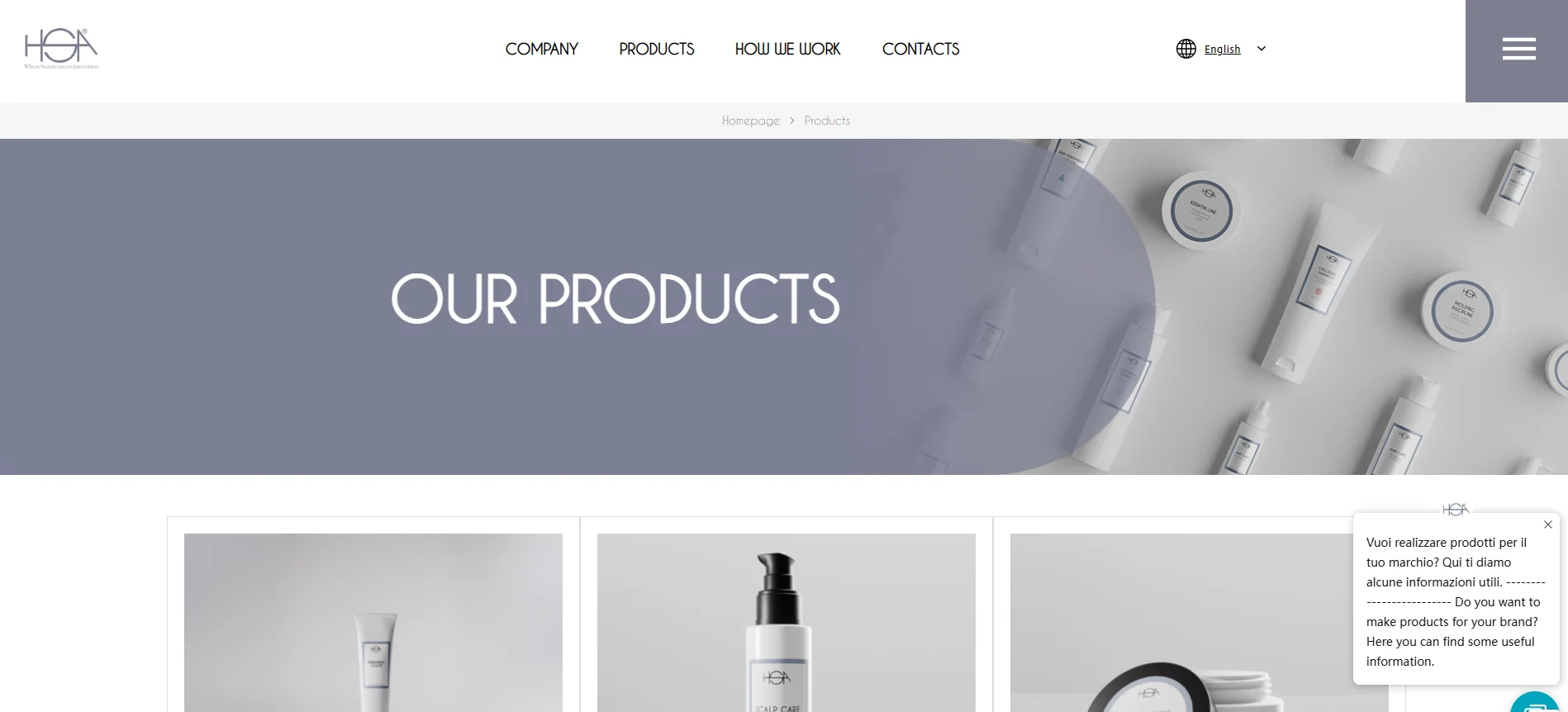 Website section displaying hair and skincare products with the title 'Our Products' on a company's product webpage.